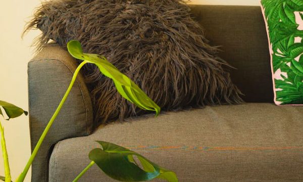 Foam for Sofa Cushion Refilling: Why?